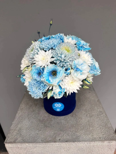 Blue Harmony Box