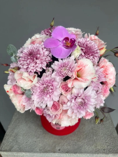 Maison Iris Box