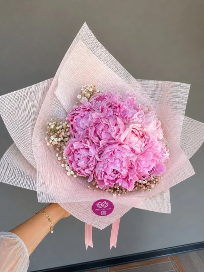 Pivoine Blush