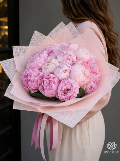 Pivoine Blush 21,