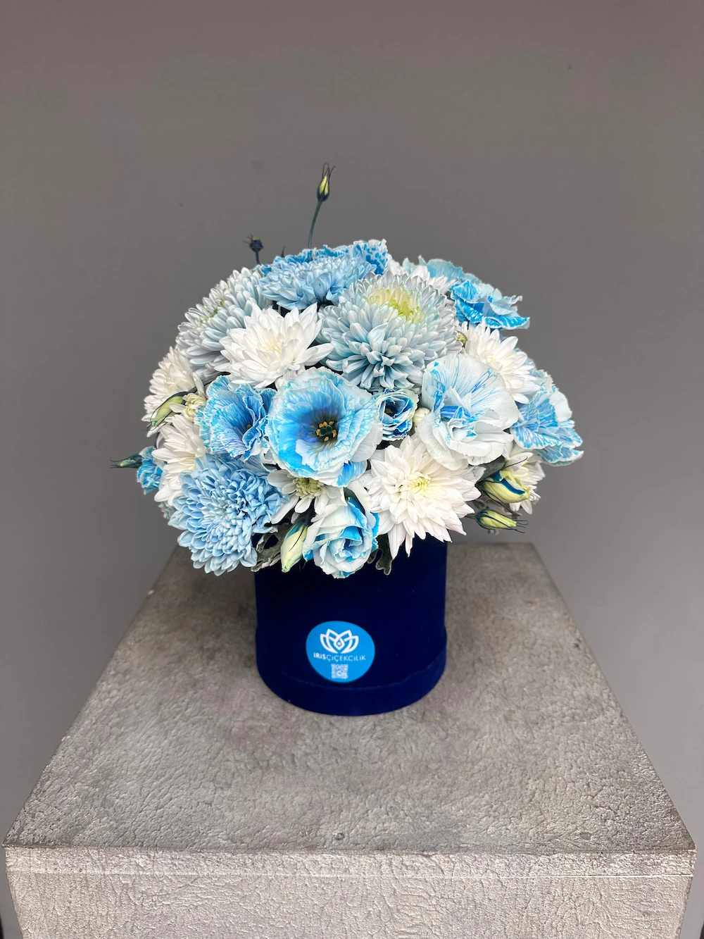 Blue Harmony Box