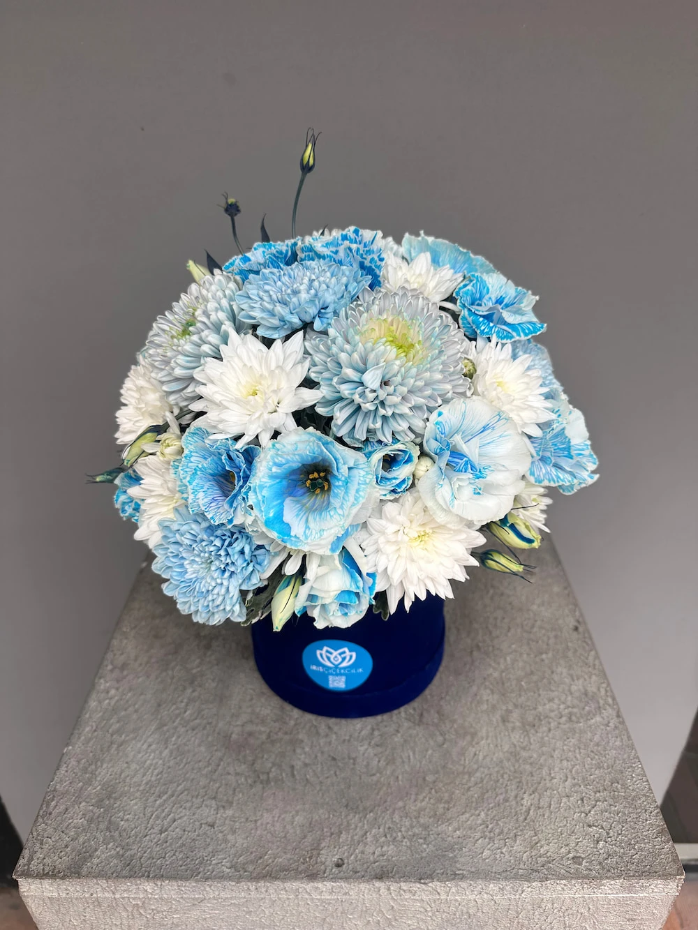 Blue Harmony Box