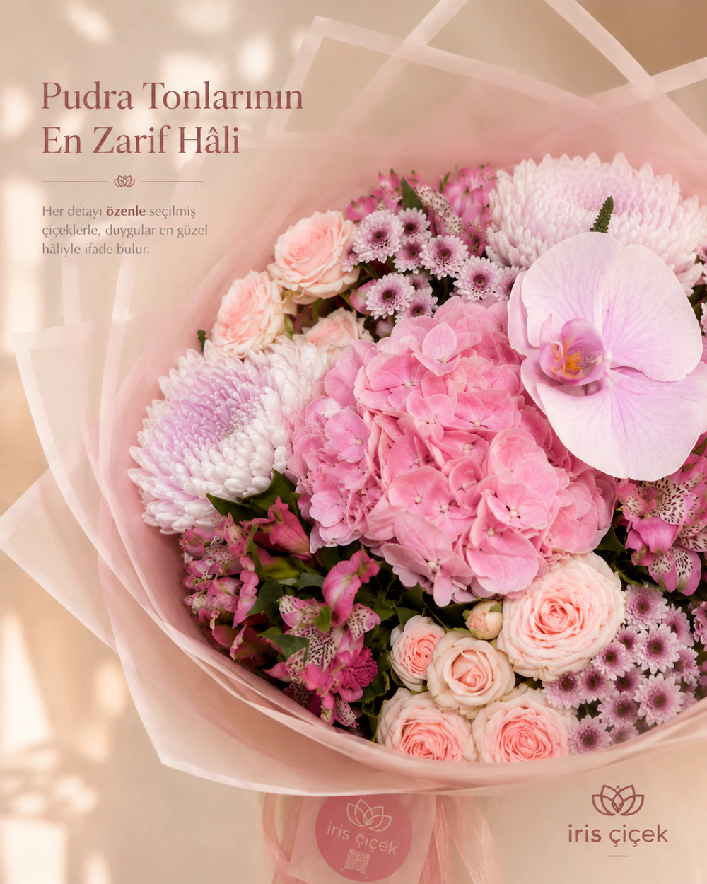 La Vie en Blush