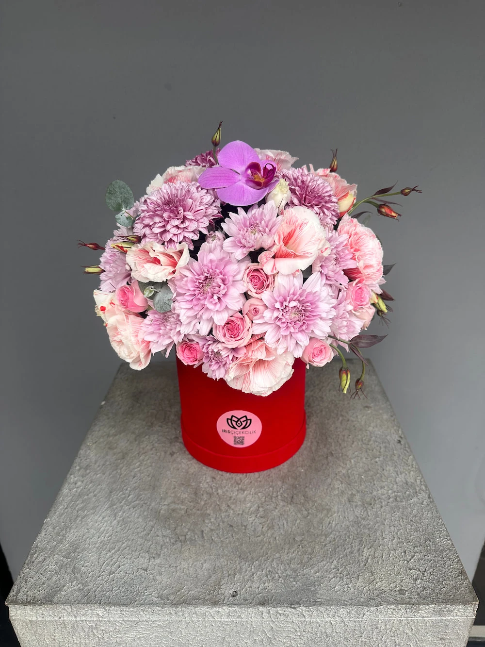 Maison Iris Box