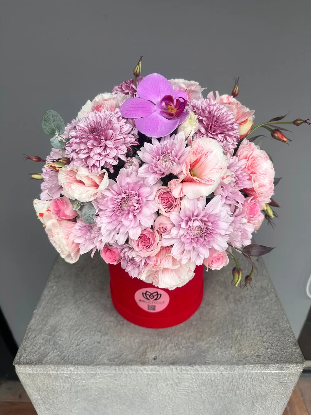 Maison Iris Box