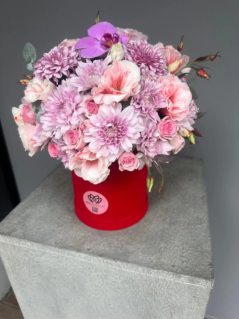 Maison Iris Box