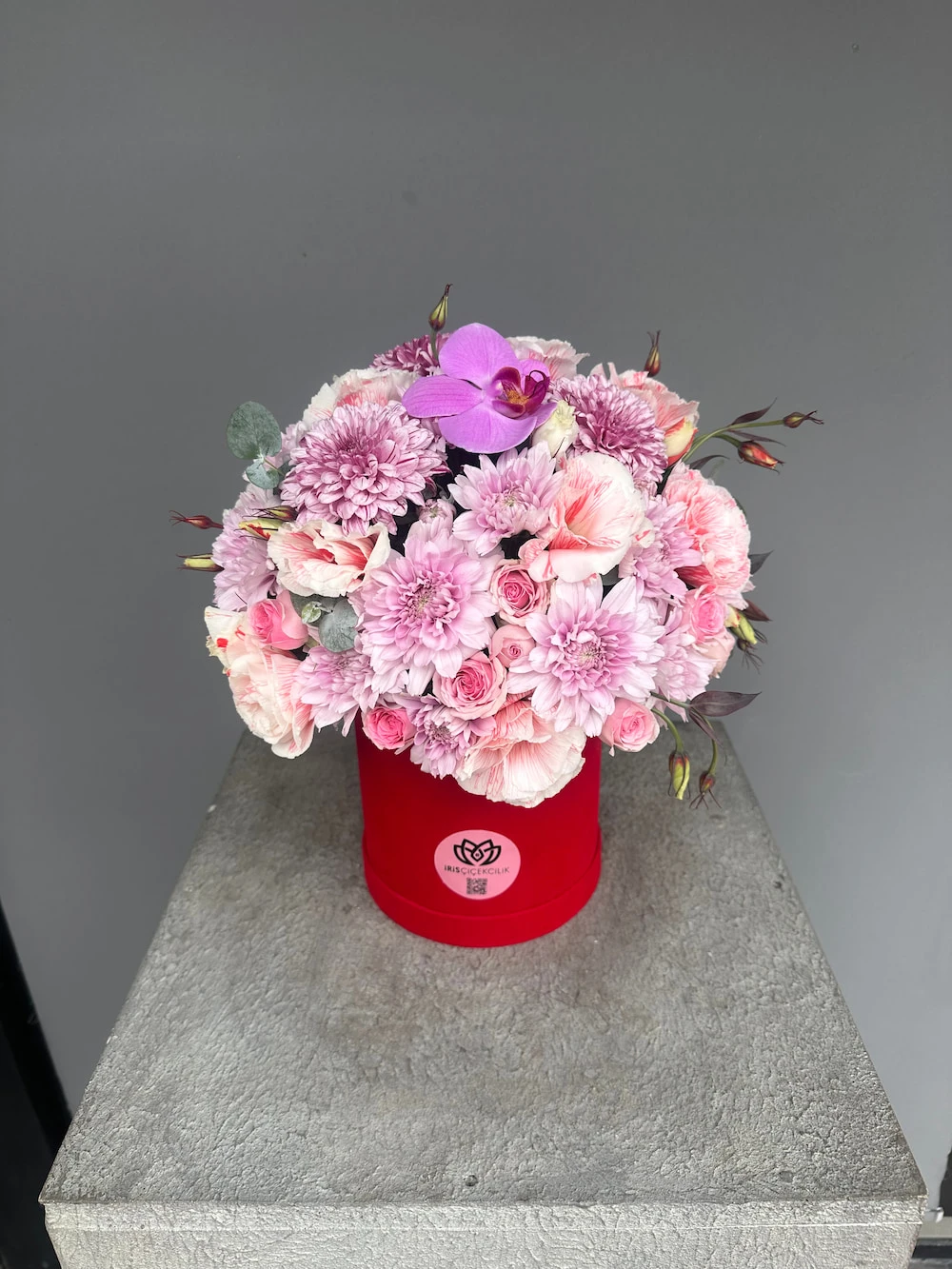 Maison Iris Box