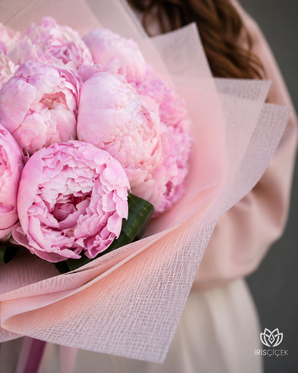 Pivoine Blush 21,