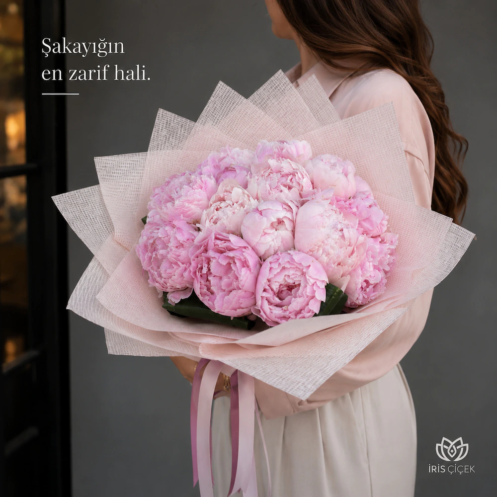 Pivoine Blush 21,
