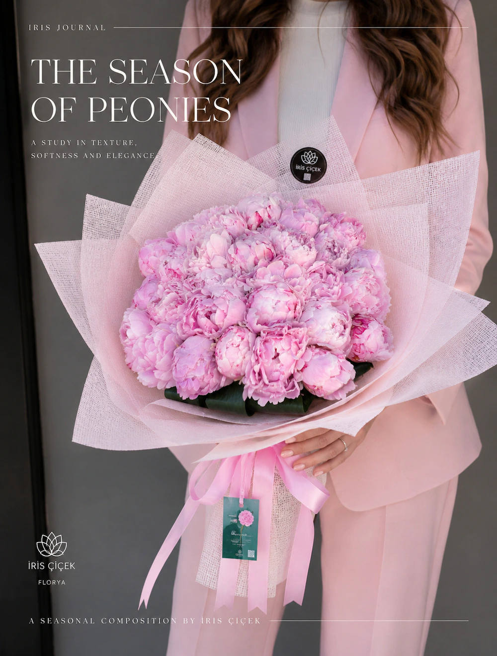 Pivoine Prestige 50