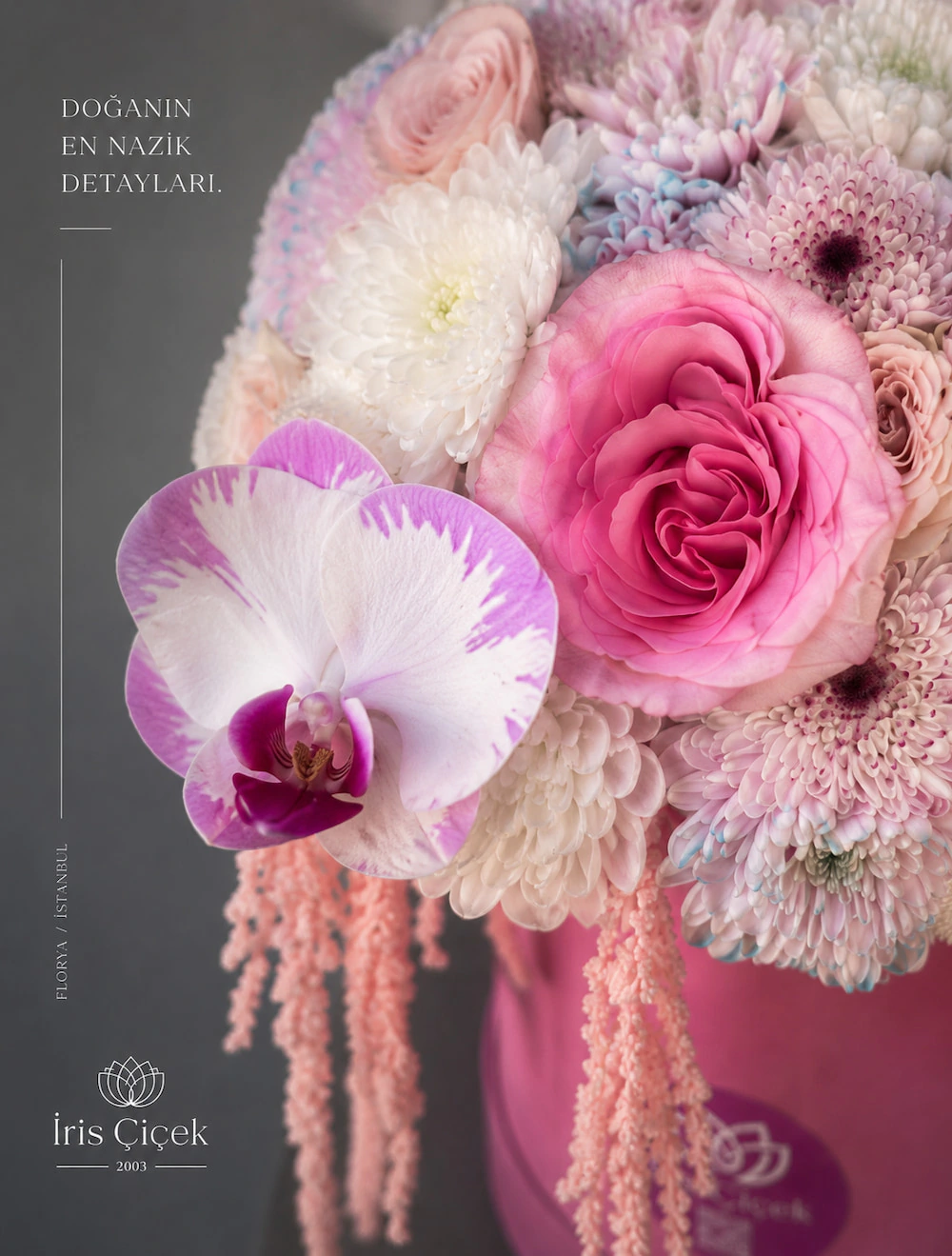 Rosée d’Orchidée – Premium Kutu Aranjman