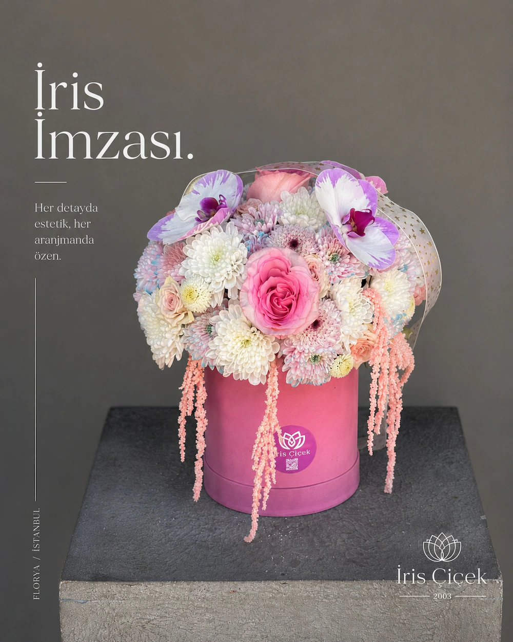 Rosée d’Orchidée – Premium Kutu Aranjman