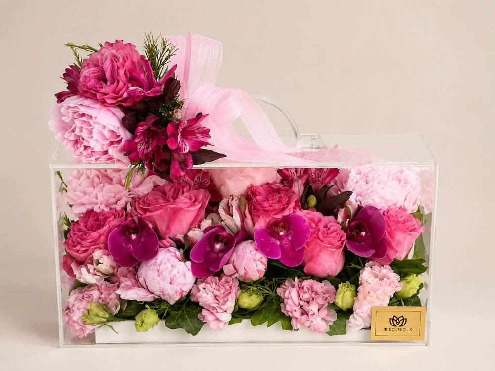 Veloura Pink Case